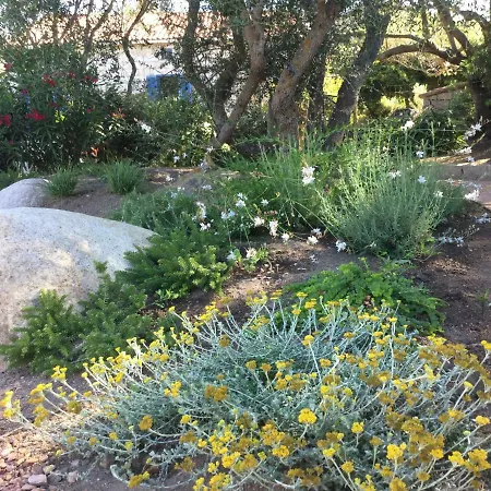 Le Moulin De Figari, Nouvelle Climatisation Σπίτι διακοπών Figari (Corsica)