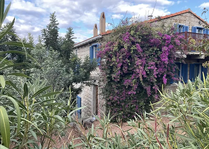 Le Moulin De Figari, Nouvelle Climatisation 別荘