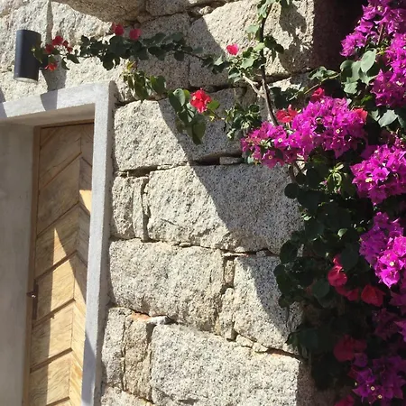 Le Moulin De Figari Figari (Corsica)