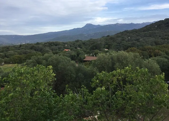 Casa de Férias Le Moulin De Figari, Nouvelle Climatisation *